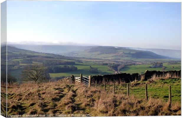 The Gate On Oakley Walls  Canvas Print by BARBARA RAW