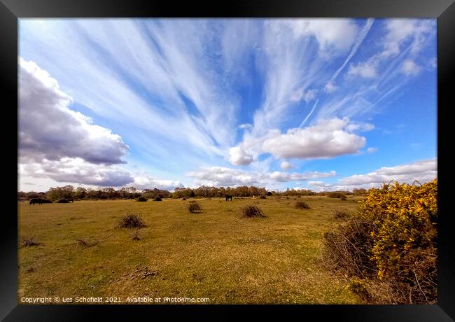 New Forest  sky Framed Print by Les Schofield