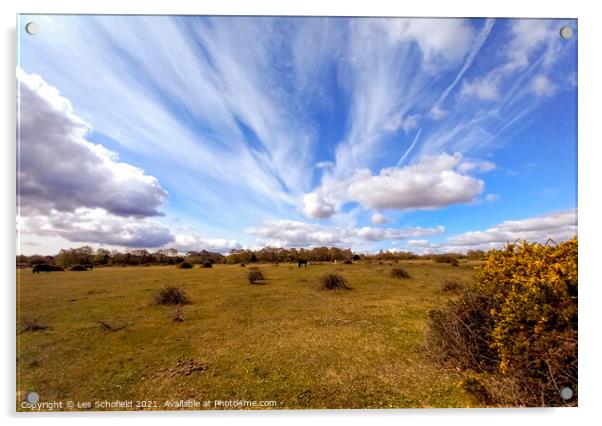 New Forest  sky Acrylic by Les Schofield