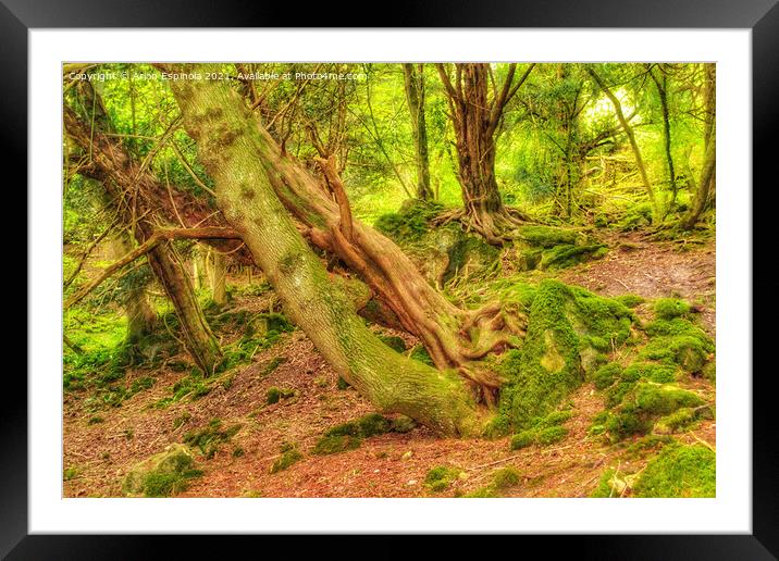 Magic woodland of Bathampton  Framed Mounted Print by Arion Espinola