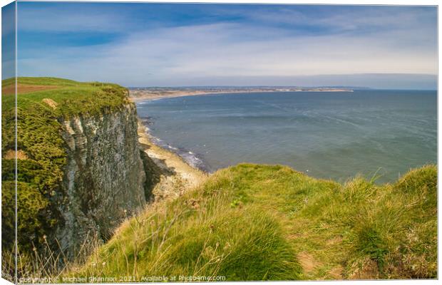 View from Buckton cliffs towards Filey Bay Canvas Print by Michael Shannon