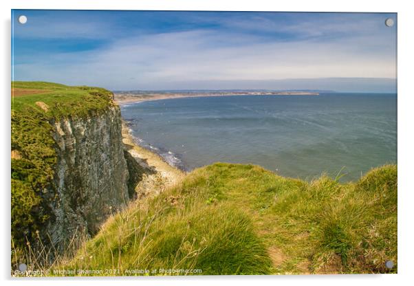 View from Buckton cliffs towards Filey Bay Acrylic by Michael Shannon