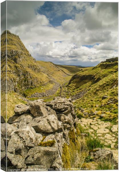 Watlowes Valley near Malham Cove, Yorkshire Dales Canvas Print by Michael Shannon