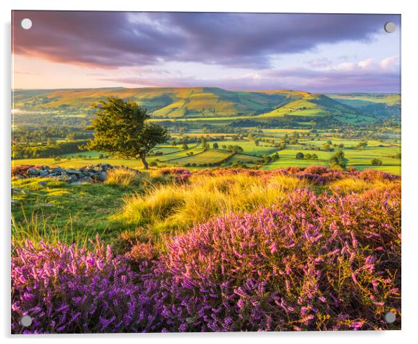 Landscape of the Peak District  Acrylic by John Finney