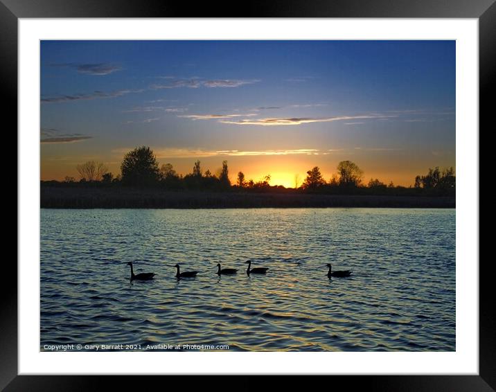 Five Geese At Sunset. Framed Mounted Print by Gary Barratt