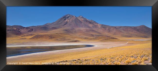 Laguna Miñiques, Atacama Desert Framed Print by David Hare