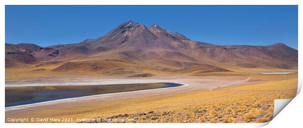 Laguna Miñiques, Atacama Desert Print by David Hare