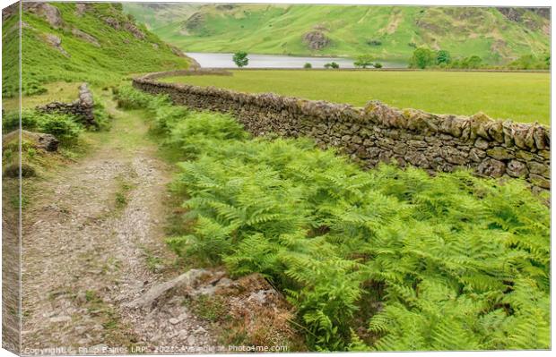 Rannerdale Knotts path to Crummock Water Canvas Print by Philip Baines