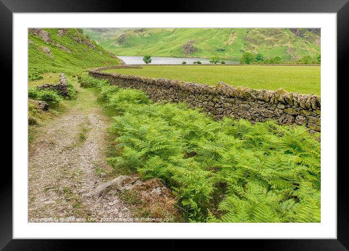 Rannerdale Knotts path to Crummock Water Framed Mounted Print by Philip Baines