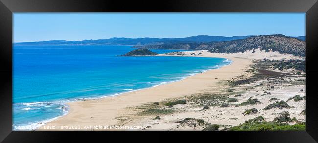 Cypriot Beach Panorama Framed Print by David Hare
