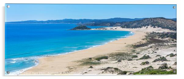Cypriot Beach Panorama Acrylic by David Hare