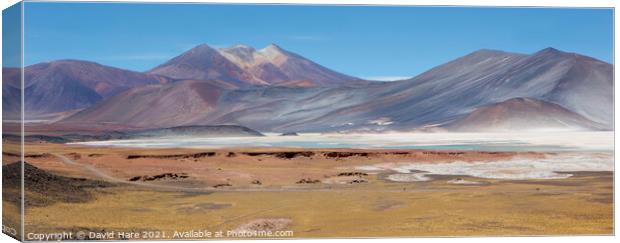 Atacama Panorama Canvas Print by David Hare