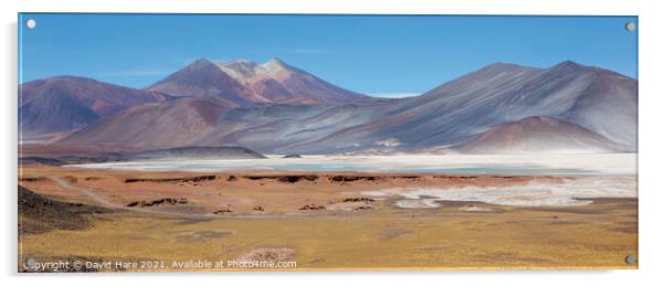 Atacama Panorama Acrylic by David Hare