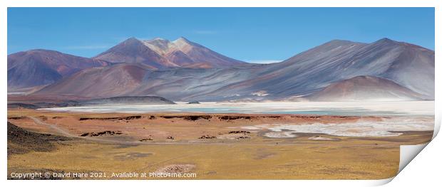 Atacama Panorama Print by David Hare