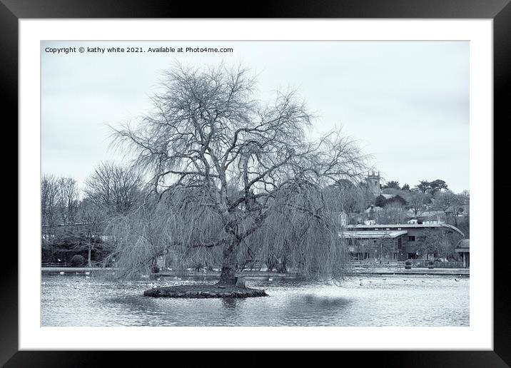 winter Willow tree, Helston Cornwall boating lake Framed Mounted Print by kathy white