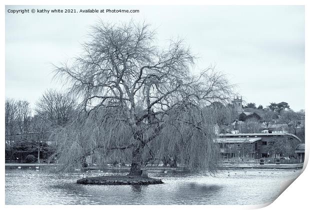 winter Willow tree, Helston Cornwall boating lake Print by kathy white