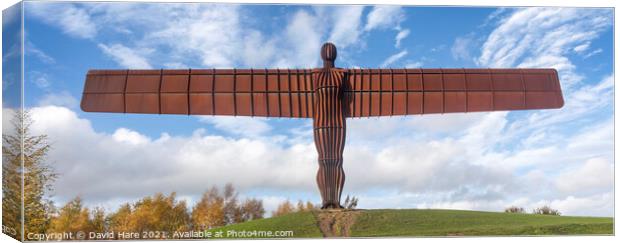 Angel of the North panorama Canvas Print by David Hare
