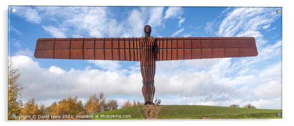 Angel of the North panorama Acrylic by David Hare