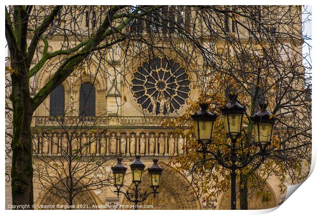 Notre Dame Cathedral among branches Print by Vicente Sargues