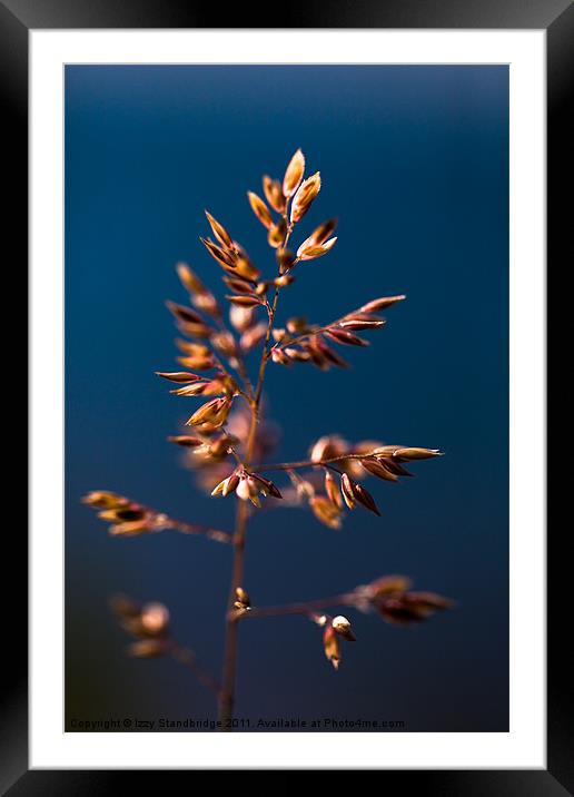 Grass on Sea Framed Mounted Print by Izzy Standbridge