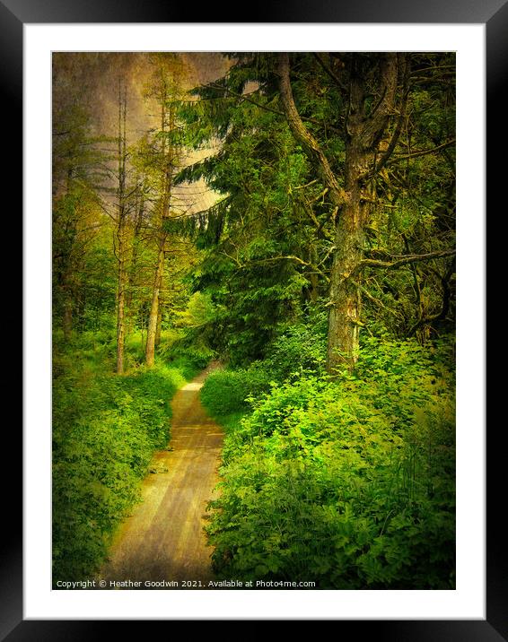 Woodland Walk Framed Mounted Print by Heather Goodwin