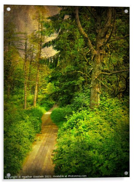 Woodland Walk Acrylic by Heather Goodwin