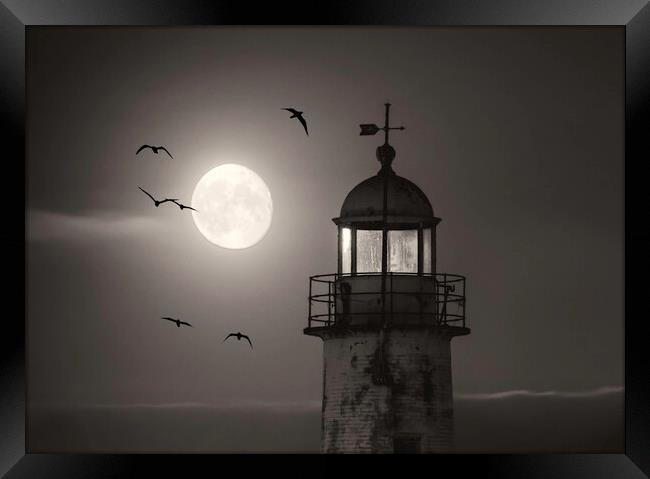 Moonlight Framed Print by Kevin Elias