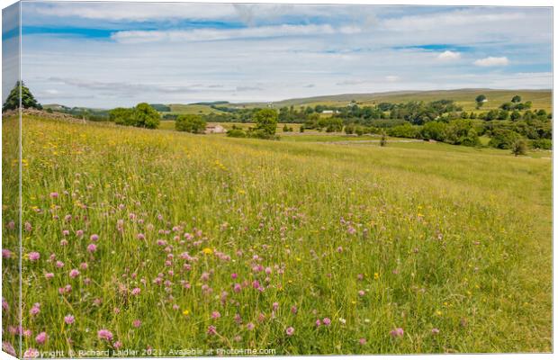 Holwick Hay Meadow Canvas Print by Richard Laidler