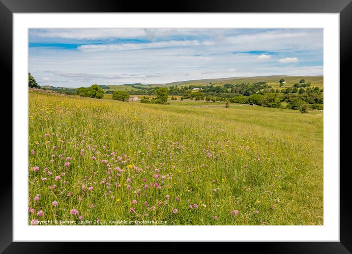 Holwick Hay Meadow Framed Mounted Print by Richard Laidler