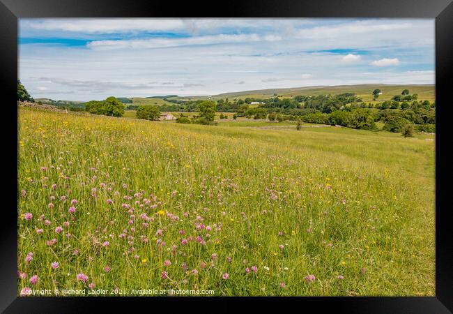 Holwick Hay Meadow Framed Print by Richard Laidler