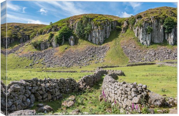 Holwick Scar, Teesdale Canvas Print by Richard Laidler