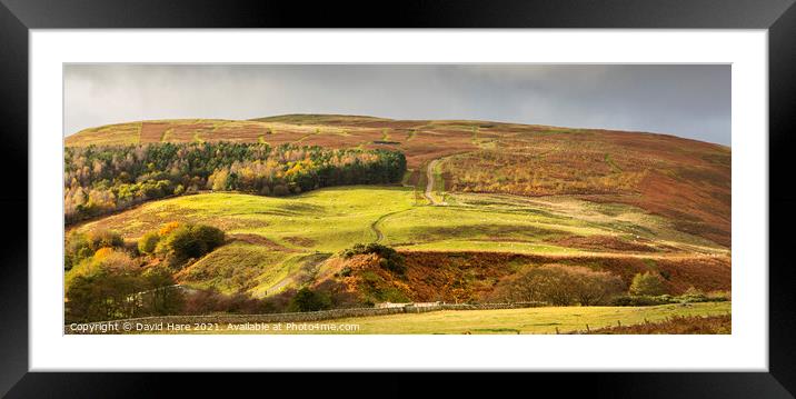 Cheviot Hillside Panorama Framed Mounted Print by David Hare