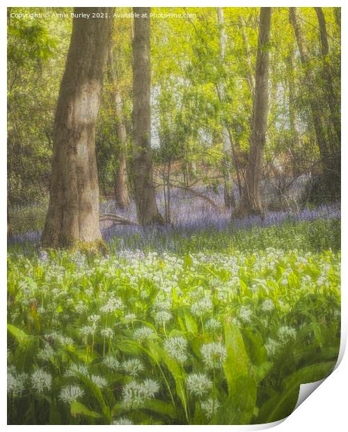 Enchanted Bluebell Forest Print by Aimie Burley
