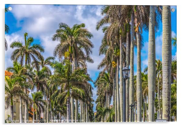 Palm Trees Street Buildings Palm Beach Florida Acrylic by William Perry