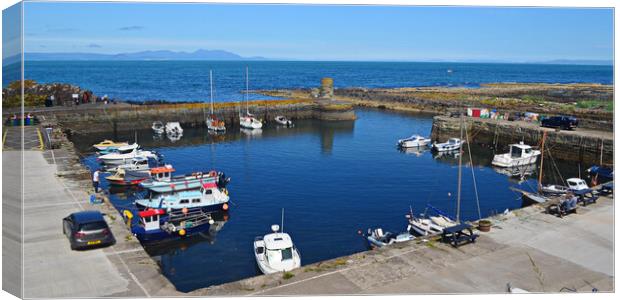 Dunure harbour overview Canvas Print by Allan Durward Photography