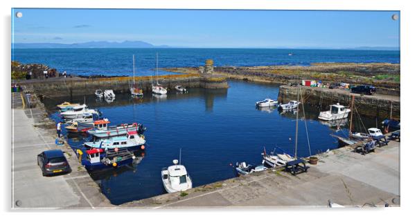 Dunure harbour overview Acrylic by Allan Durward Photography