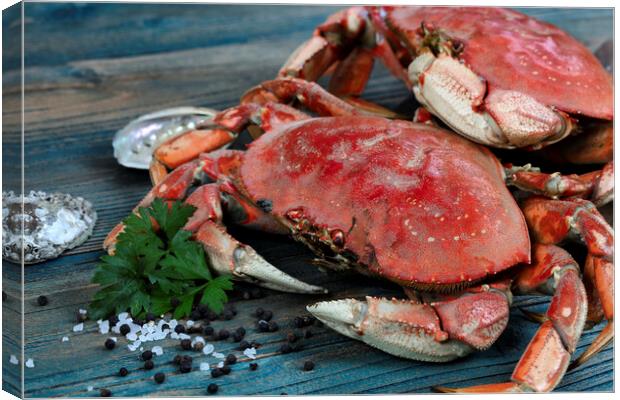 Freshly cooked crab with ingredients in close up view for seafoo Canvas Print by Thomas Baker