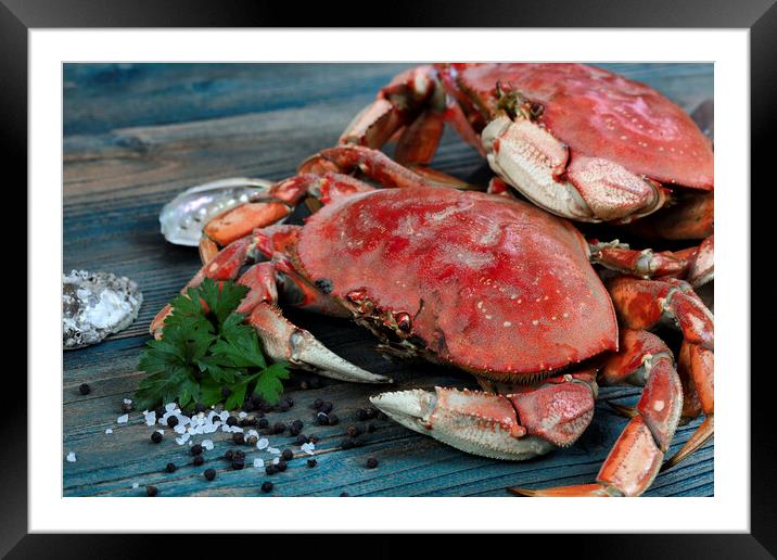 Freshly cooked crab with ingredients in close up view for seafoo Framed Mounted Print by Thomas Baker