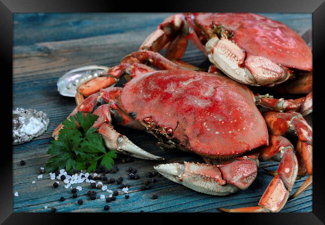 Freshly cooked crab with ingredients in close up view for seafoo Framed Print by Thomas Baker