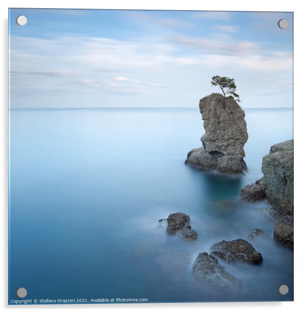 Pine Tree Rock in Portofino Acrylic by Stefano Orazzini