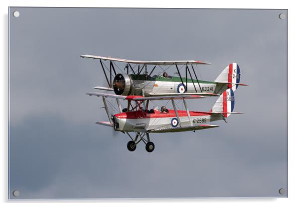 DH82 Tiger Moth and Avro 621 Tutor Acrylic by J Biggadike