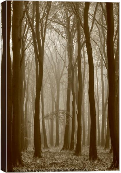 misty woodland Canvas Print by Simon Johnson