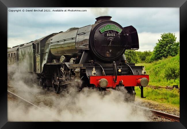 Steam locomotive 60103 Flying Scotsman. Framed Print by David Birchall