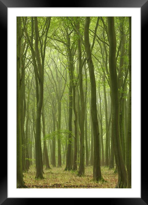 Misty Beech Wood Framed Mounted Print by Simon Johnson
