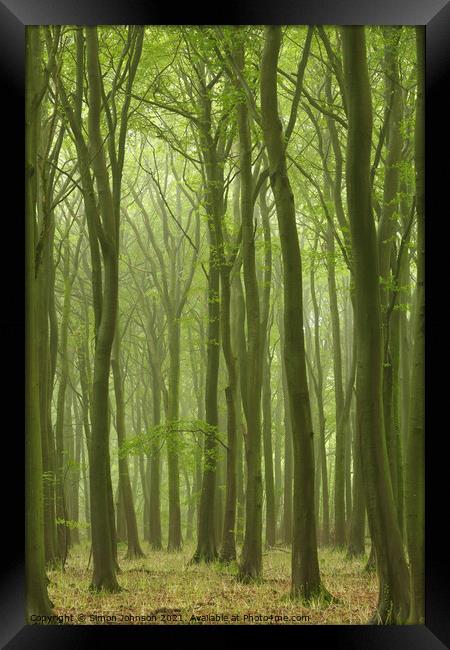 Misty Beech Wood Framed Print by Simon Johnson