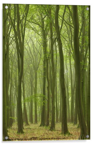 Misty Beech Wood Acrylic by Simon Johnson
