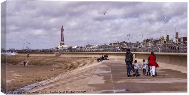 Walk Along the Prom, Blackpool Canvas Print by Ian Miller