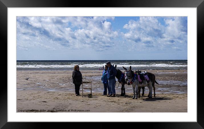 Donkeys on the Beach Framed Mounted Print by Ian Miller