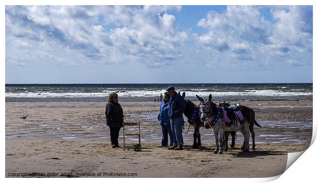 Donkeys on the Beach Print by Ian Miller