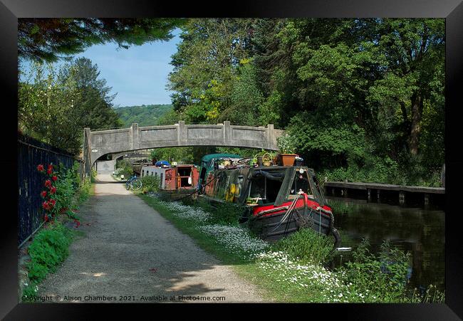 Summer on the Rochdale Canal Framed Print by Alison Chambers